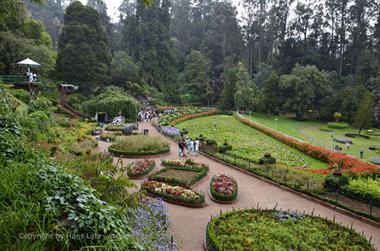 Botanical Garden, Ooty_DSC5600_H600